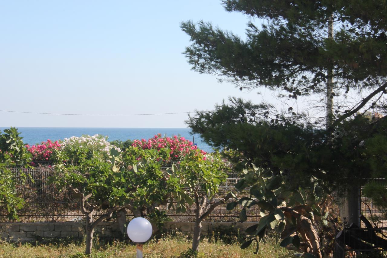 Bed and Breakfast Trentatre Quarantatre Mola di Bari Exterior foto